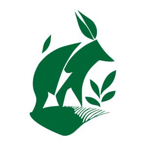 Escert.org certification - Companies
